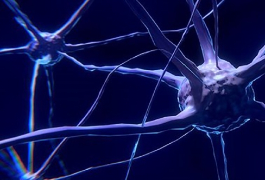 Hüceyrələr qoxunu hiss edir? - Alimlər araşdırır