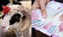 Müəllimlər bayramda nə qədər pul mükafatı alacaq? - məbləğlər AÇIQLANDI