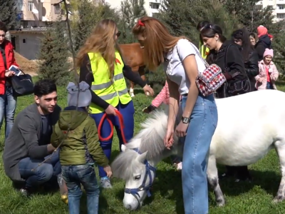 Murada çapanlar – Burada atla müalicə edirlər - VİDEOREPORTAJ