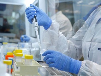 Finlandiyada “havadan” qida almağın yolunu tapıblar