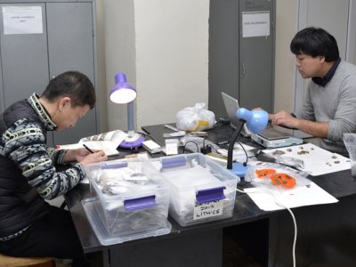 Yaponiyalı alimlər Azərbaycanın Mezolit və Neolit dövrünə aid tapıntıları tədqiq edir