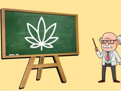 Dünya universitetlərindəki ən qəribə 10 ixtisas