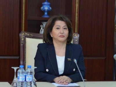 “İntihara cəhd edən bəzi şagirdlər bunu valideyn diqqətsizliyi səbəbilə etdiklərini deyirlər”-DEPUTAT