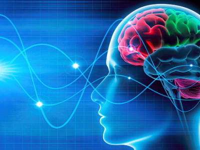 Beyninizin hansı tərəfini istifadə edirsiniz ? Beyninizi gücləndirmənin rahat yolları..