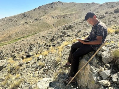 Çobanlıq edə-edə Türkiyə üzrə ikinci ən yüksək balı topladı - VİDEO