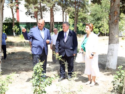 AMEA prezidenti Nadir ağaclar parkında...