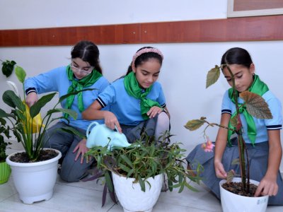 Yaşıl dünya naminə həmrəyik – paytaxt məktəblərindən fotoreportaj