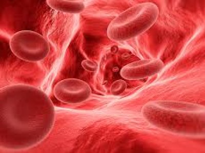 "Tarixdə bu gün" - Ümumdünya Hemofiliya Günüdür