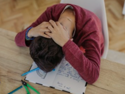 Təhsil sistemi uşaqları "bal yığmaq" üçün proqramlaşdırır