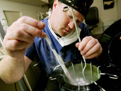 Alimlər ürək əzələsinin formalaşmasını hüceyrə səviyyəsində izləyiblər