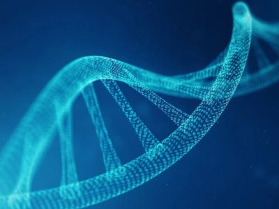 İngiltərədə ilk dəfə süni insan DNT-si yaradılır