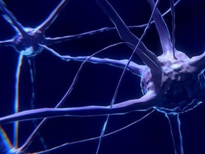 Hüceyrələr qoxunu hiss edir? - Alimlər araşdırır