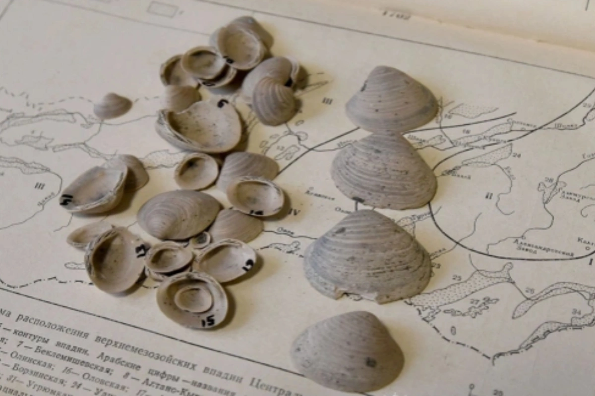 Alimlərdən yeni araşdırma - ən qədim tapıntı müəyyən edildi