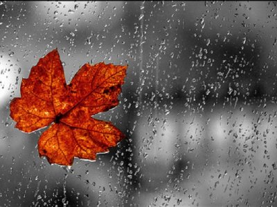 Sabah hava necə olacaq? - PROQNOZ