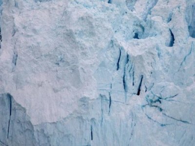 Antarktidada nəhəng buzlaq rekord sürətlə əriyir