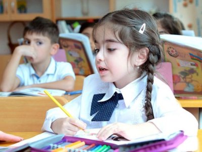 Məktəblərlərdə yeni fənnin tədrisinə başlanmalıdır - TƏKLİF