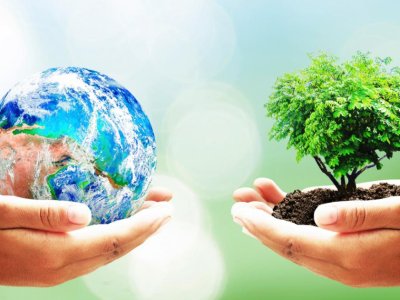 Alimlər bitkilərdə “yaddaş”ın mövcudluğunu aşkar ediblər