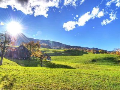 Sabah 21 dərəcə isti olacaq