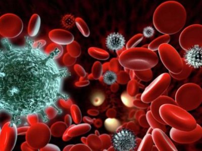 Alimlər immun sistemini sakitləşdirən təbii vasitələri müəyyənləşdirib