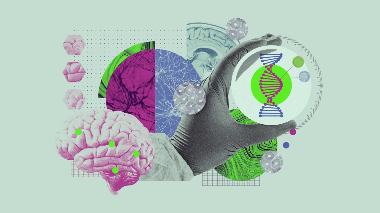 Alimlər hüceyrələrdə zülalı müdaxiləsiz izləmək üsulu tapdı