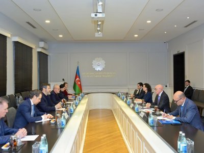 Firudin Qurbanov Tatarıstan Baş nazirinin müavini ilə görüşüb