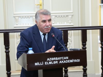 "Dilimizdə rəsmi üslub bərbad gündədir" - Professor