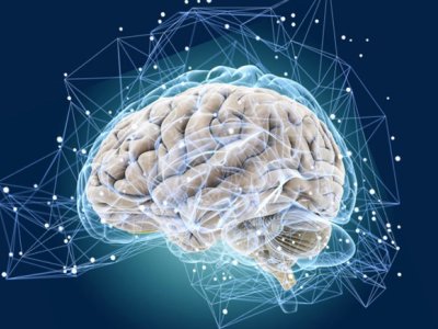 Beyin sinirlərinin canlı izlənməsi mümkün oldu