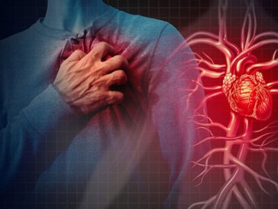 Ürək xəstəliklərinə qarşı yeni müdafiə mexanizmi aşkarlandı