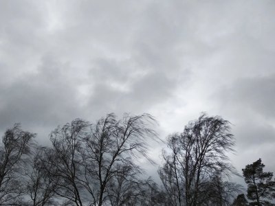 Növbəti iki gündə güclü külək əsəcək - XƏBƏRDARLIQ