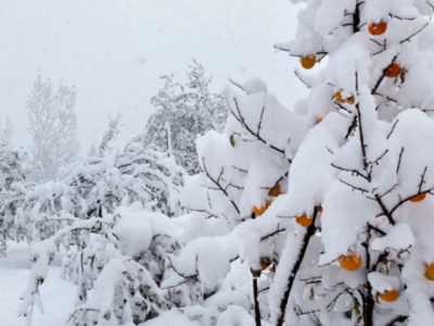Bəzi ərazilərə qar yağır - FAKTİKİ HAVA