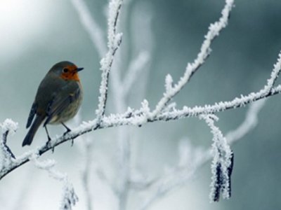 Sabah 20 dərəcə şaxta olacaq