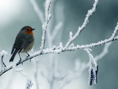 Bu gün hava necə olacaq? - PROQNOZ