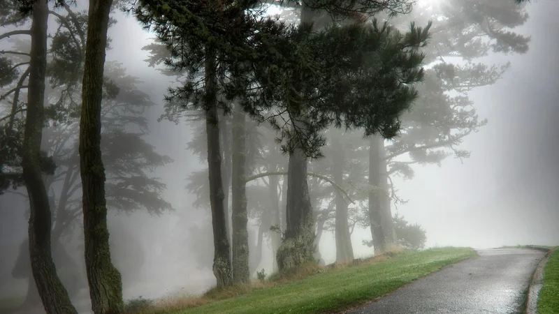 Bu günün havas - duman, 11 dərəcə isti