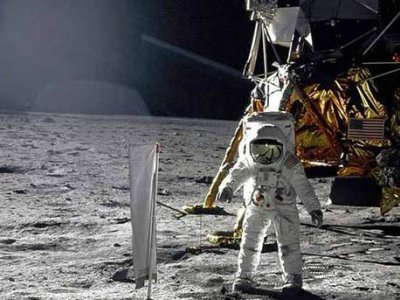 İnsanlar ayı çirkləndirir