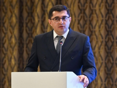 Nazirlik bizim yerimizə elmlə məşğul olmalı deyil&nbsp;