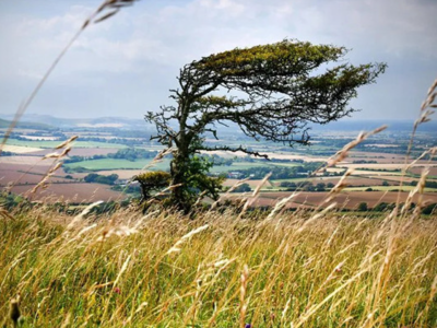 Güclü külək, qar&nbsp;-&nbsp;FAKTİKİ HAVA&nbsp;