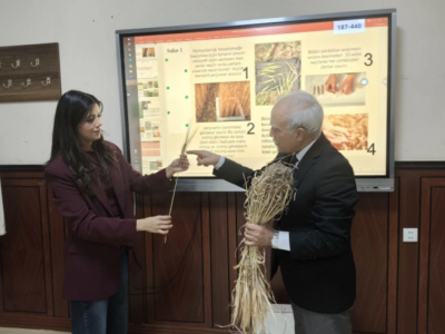 Azərbaycanda ilk dəfə aqrar sığorta fənninin tədrisinə başlanıb