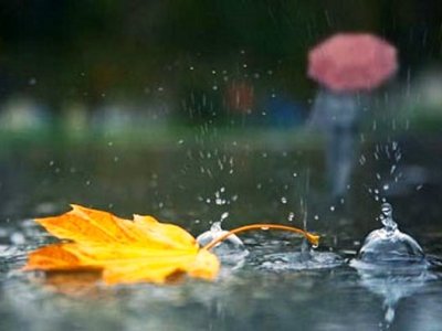 Günün havası - yağış, külək...