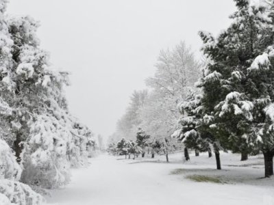 Bu günün hava PROQNOZU