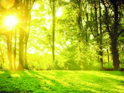 Alimlər yüzmilyonlarla il əvvəl var&nbsp;olmuş&nbsp;həyat&nbsp; aşkarlayıblar