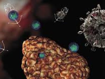 Hindistanda sağalmaz virus yayılır