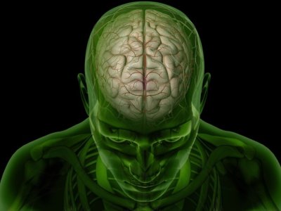 Piylənmə yalnız bədənə yox, beyinə də zərər vurur