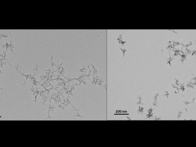 ABŞ alimləri xərçəng hüceyrələrini məhv edən nanomaterial hazırlayıblar