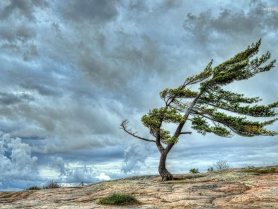 Külək güclənəcək - Sarı XƏBƏRDARLIQ