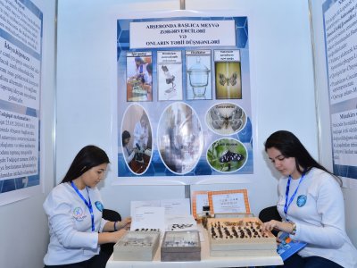 AMEA-nın dərslik ekspertizasında rolu artırılmalıdır - ARTİ rəsmisi