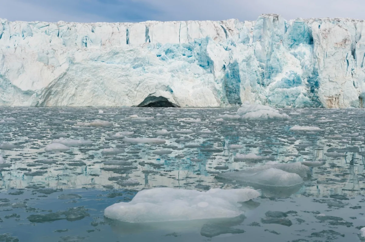 Alimlərdən həyəcan təbili