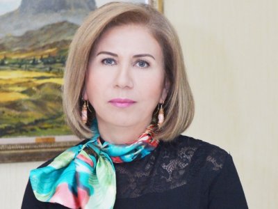 Keçən il 17 uşaq müəssisəsində monitorinq aparılıb