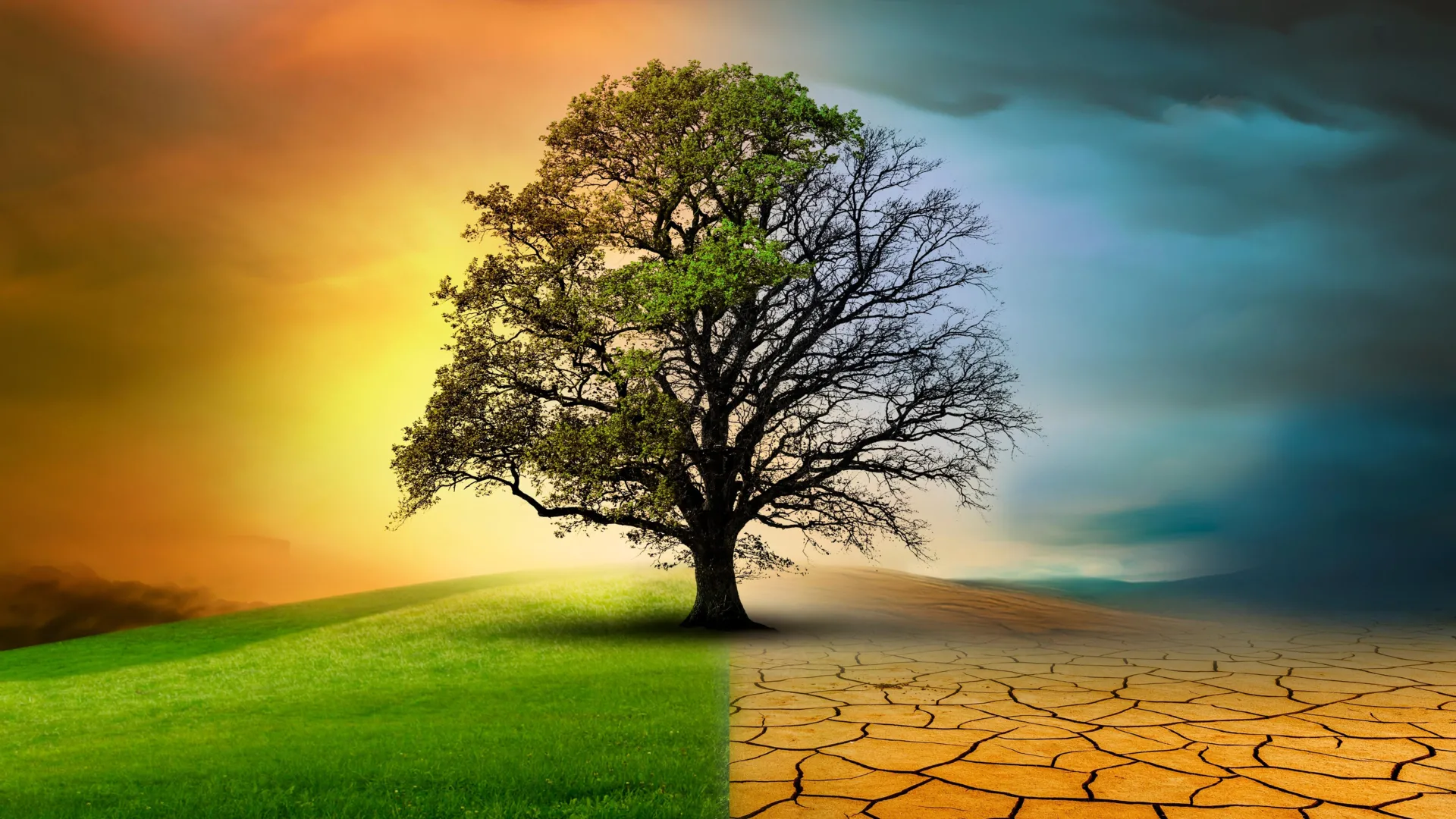 İqlim dəyişir, təbiət isə zəifləyir -&nbsp;yeni araşdırma