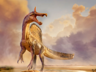 Yeni nəhəng dinozavr növü kəşf edildi