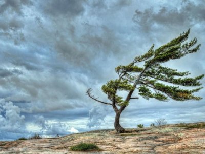 Bəzi yerlərdə külək güclənəcək -&nbsp;XƏBƏRDARLIQ